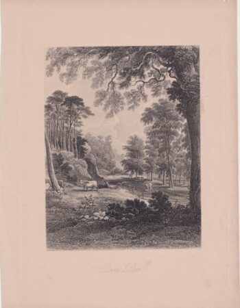 Antique Engraving Print, Dura Den, 1868