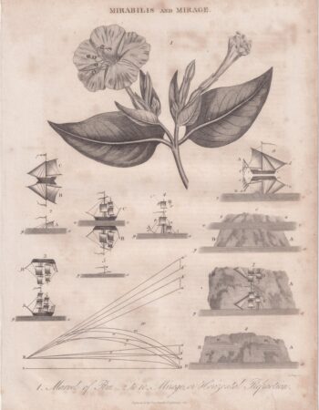 Antique Engraving Print, Mirabilis and Mirage, 1817