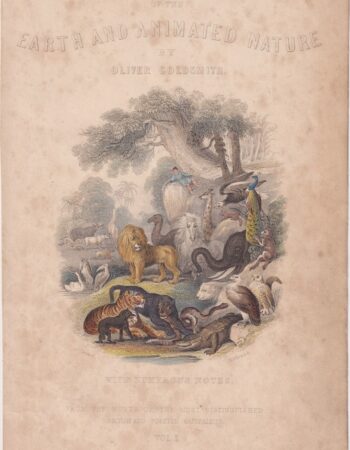 Antique Engraving Print, Heart and animated nature, 1812