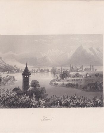 Antique Engraving print, Thun, 1864