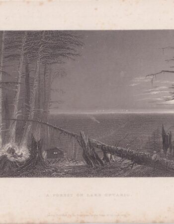 Antique Engraving Print, A Forest in Lake Ontario, 1838