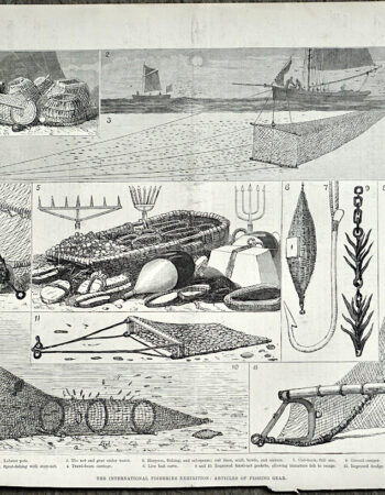 Antique Print, The International Fisheries Exhibition, 1883