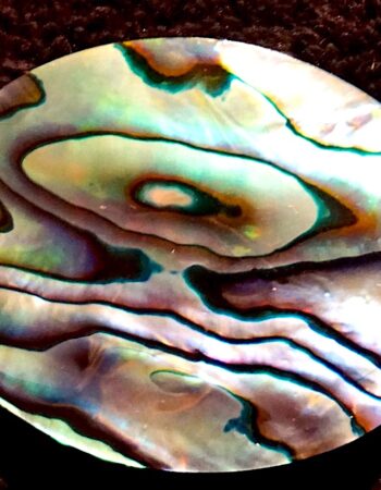 Vintage Shell Iridescent Abalone Brooch 1960