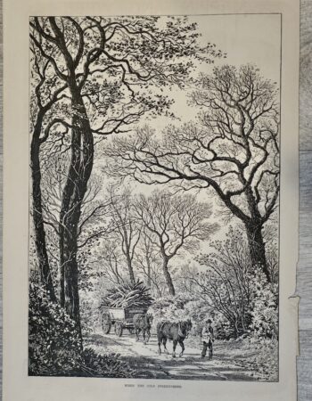 Vintage Print, When the Cold Strenghthens, 1887
