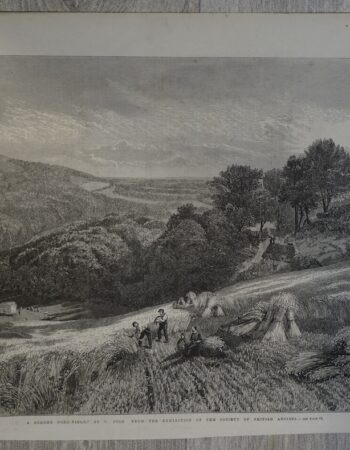 Vintage Print, A Surrey Corn-Field, 1861