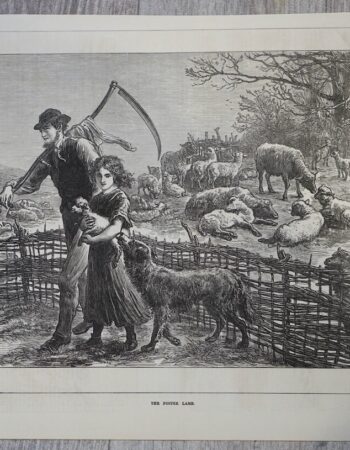 Vintage Print, The Foster Lamb, 1873