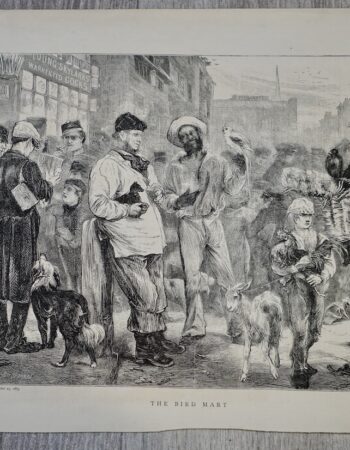 Antique Print, The Bird Mart, 1869