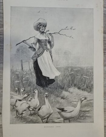 Vintage Print, Michaelmas Geese, 1893