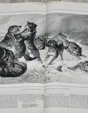 Vintage Print, The Struggle for existence, 1880