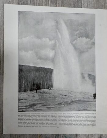Vintage Print, A Geyser in a Yellowstone Park; Melbourne, 1910 ca.
