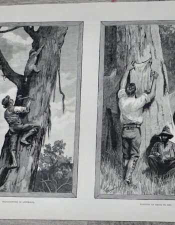 Vintage Print, in Australia, 1889