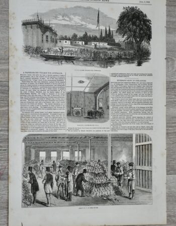 Antique Print, Great Show of Pineapples, 1853
