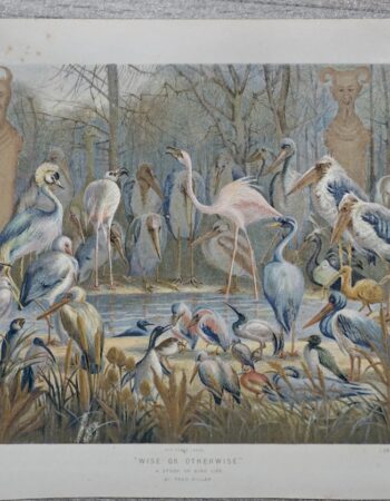 Vintage Print, Wise or Otherwise, 1880