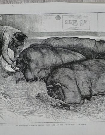 Vintage Print, The Finishing Tooch..., 1873