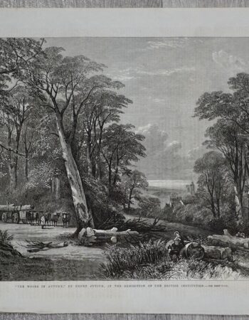 Antique Print, The woods in autumn, 1864