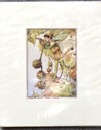 Vintage Print, The Plane Tree Fairy, 1909
