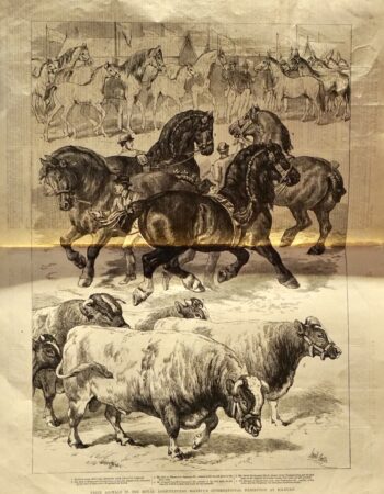 Vintage Print, Animals, 1879