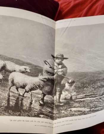 Vintage Print, The Lambs, 1873