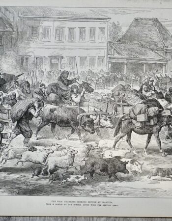 Vintage Print, The War, 1876