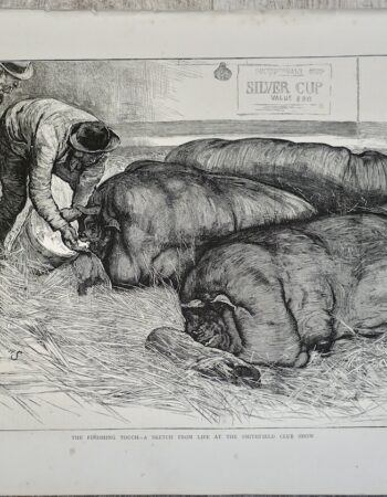 Vintage Print, The Finishing Touch..., 1873