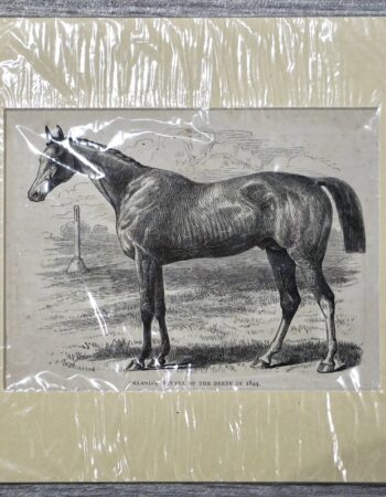 Vintage Print, Horse, 1860 ca.