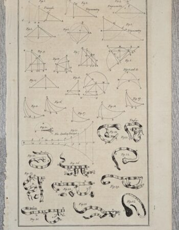 Antique Engraving Print, Trufs, 1860