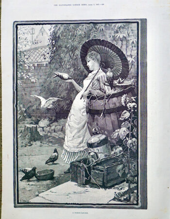 Antique Print, A Pigeon-Fancier, 1887