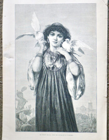 Antique Print, Les pigeons blancs, 1874