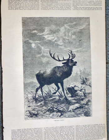 Antique Print, Hunted Down, 1874