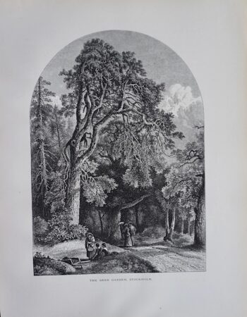 Antique Print, The Deer Garden, Stockholm, 1870