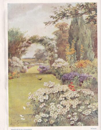 Vintage Print, Garden Scene, 1906