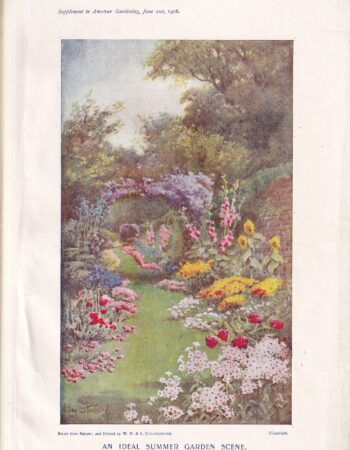 Vintage Print, Garden Scene, 1906