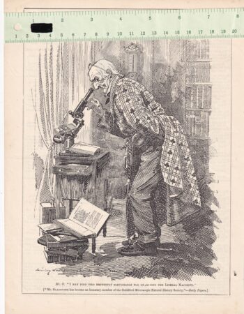 Vintage Print, Mr. Gladstone, 1894
