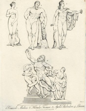 Rare Antique Engraving Print, Venus, Hercules, Apollo, Laocoon, 1827