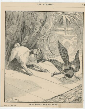 Vintage Print, Miss Magpie and Mr. Frisk, Louis Wain, 1890