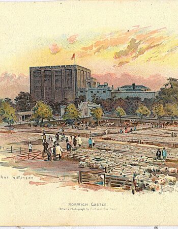 Antique Engraving print, Norwich Castle, 1920 ca.