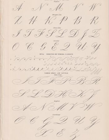 Antique Print, Penmanship, 1870