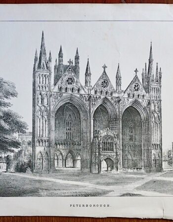 Antique Print, Peterborough, 1880 ca.