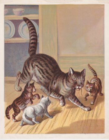 Vintage Print, The cats, 1890