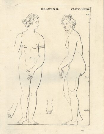 Antique Engraving Print, Drawing, plate CLXXXI, 1835