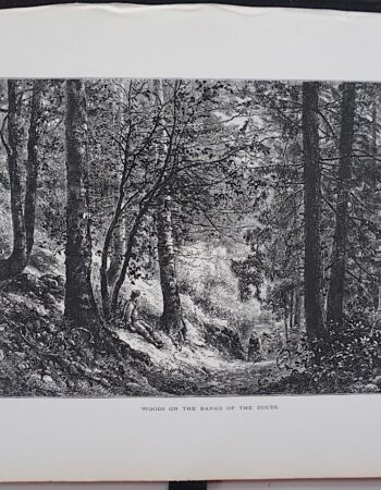 Antique Print, Woods on the Banks of the Doues, 1870