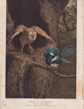 Vintage Print, Wit & Wisdom, 1890