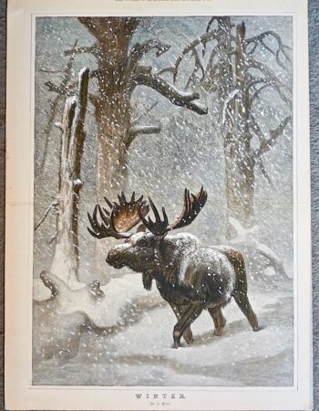 Antique Print, Winter, by J. Wolf, 1873