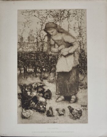 Antique Print, Chickens, Etched by William Hole, 1890