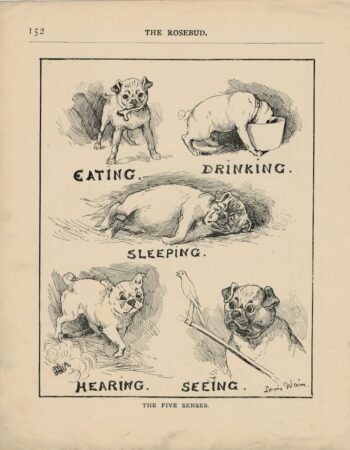 Rare Vintage Print, The five senses, Louis Wain, 1890