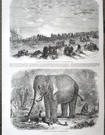 Antique Print, An Elephant; Guebers of India, 1863