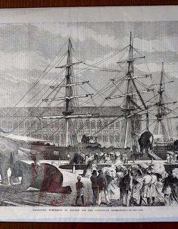 Antique Print, Embarking Elephants at Bombay for the Abyssinian Expedition, 1868