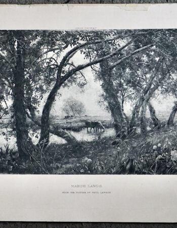 Antique Engraving Print, Marsh Lands, 1910 ca.