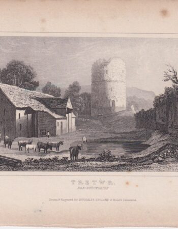 Antique Engraving Print, Tretwr, 1840 ca.