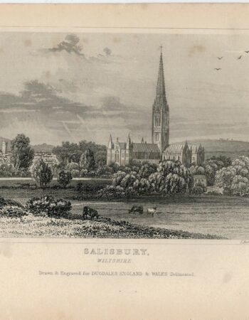Antique Engraving Print, Salisbury, Wiltshire, 1840 ca.